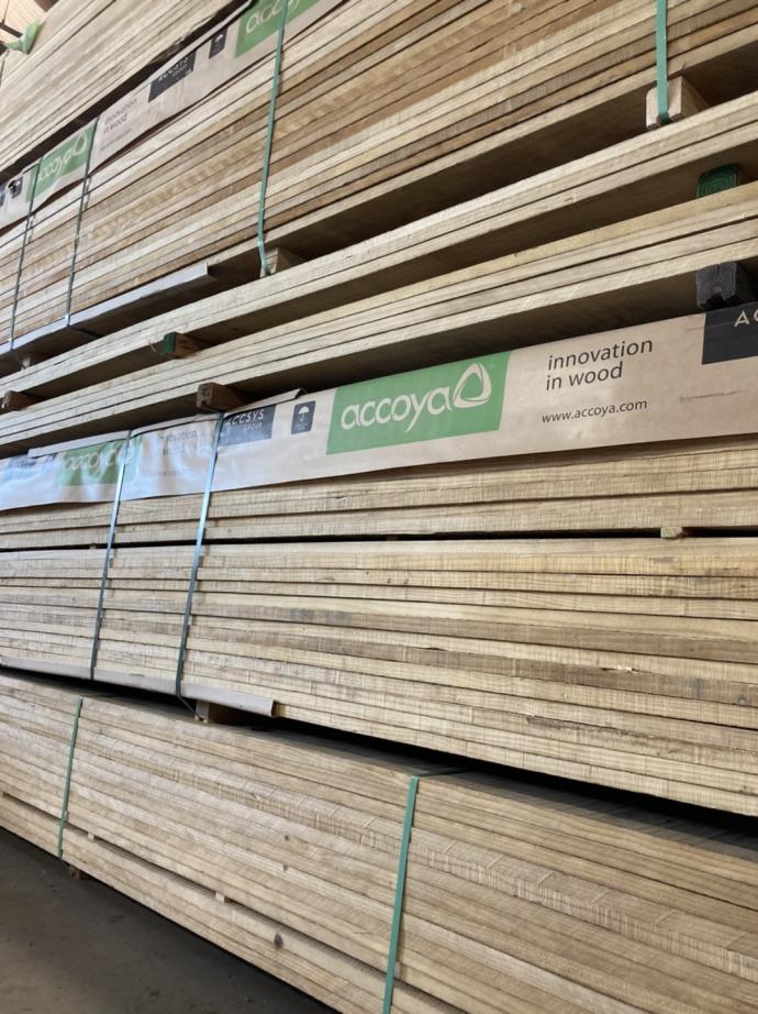 Accoya in stock