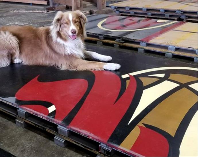 Portland Design Studio’s dog in residence, Luca, shows off a Portland Fire basketball slab.