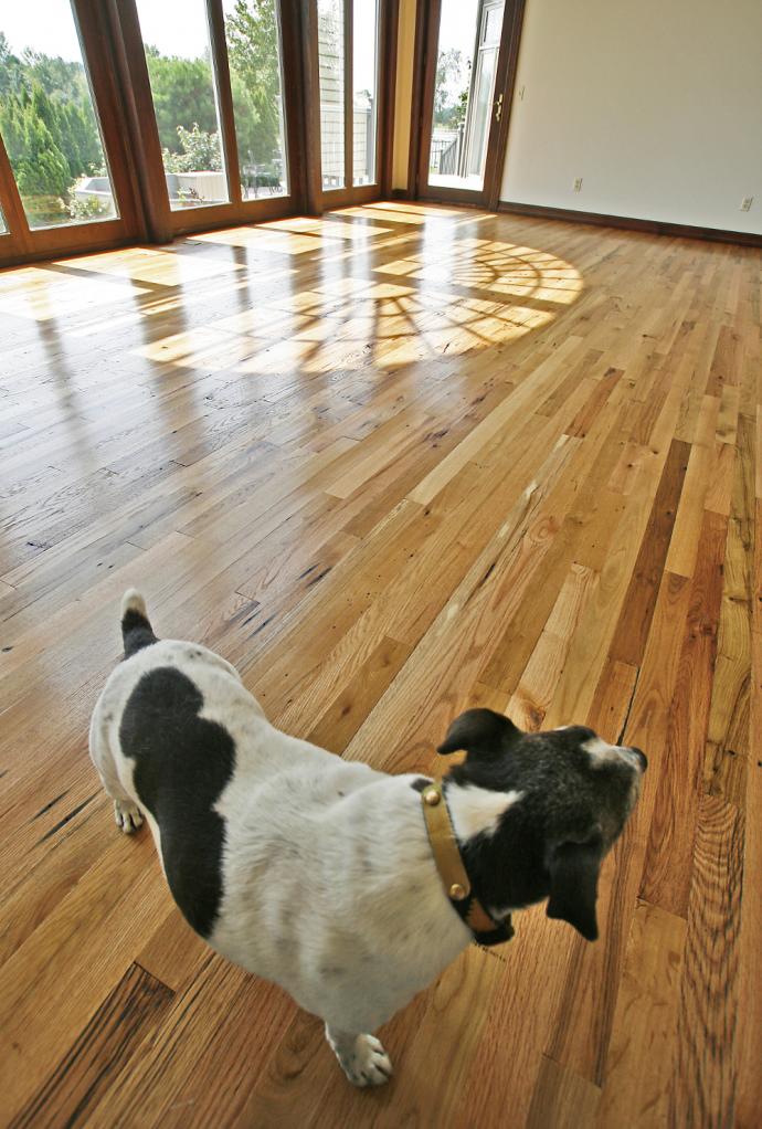 Black & Tan—Tan flooring unites event space and conference areas at the EquiCenter. Thanks to canine model, Dutch, for joining this photoshoot!