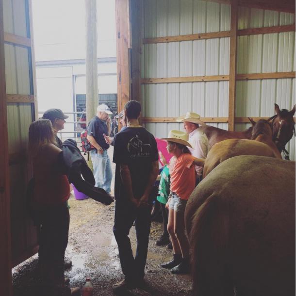 The Equicenter in Rochester, NY which providing therapeutic programs to people with disabilities, at-risk youth and veterans is one of the community organizations Pioneer Millworks supports.