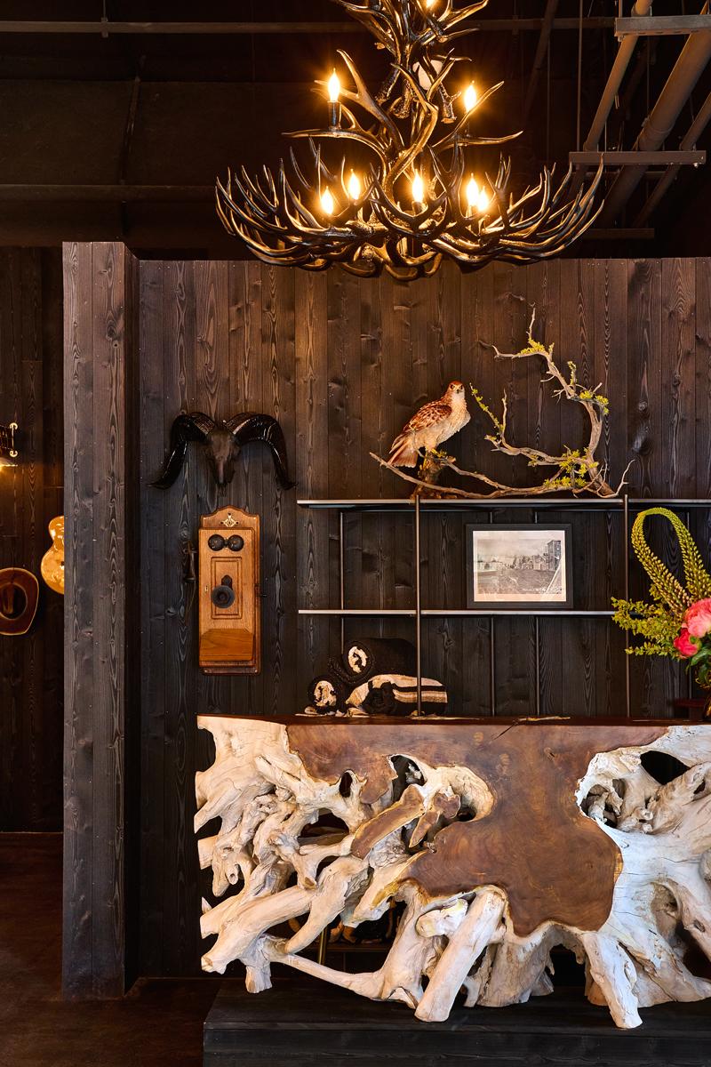 Shou Sugi Ban — Charred Siding & Shiplap | Larch Carbon | Pioneer