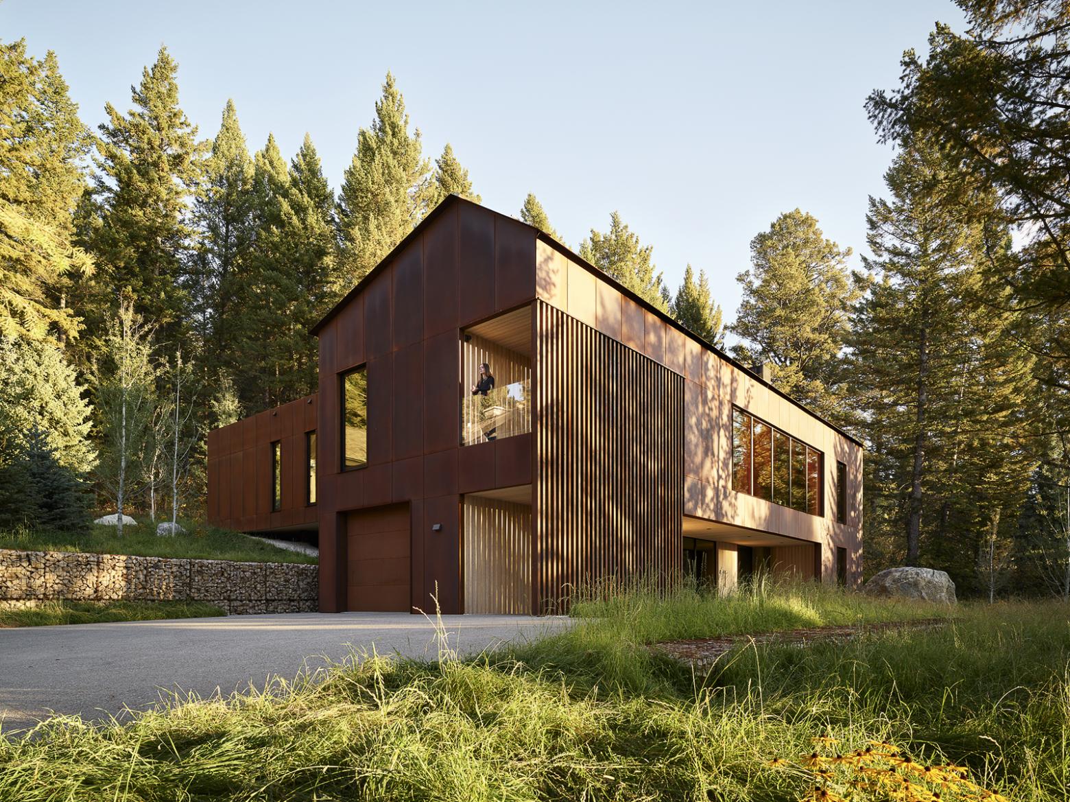 Larch — Wood Siding & Shiplap | Larch Scandi | Pioneer Millworks