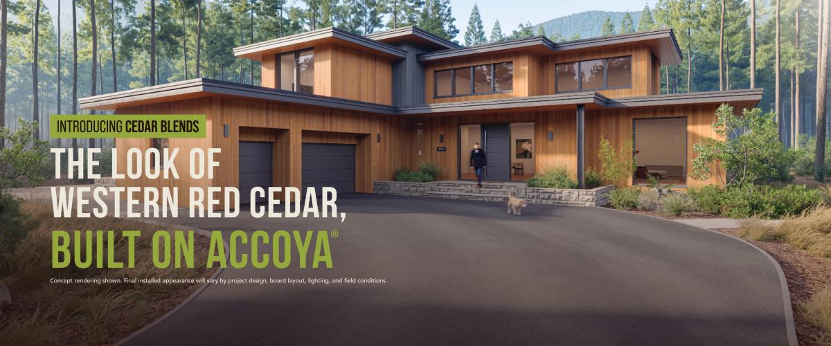 Cedar Blends Collection