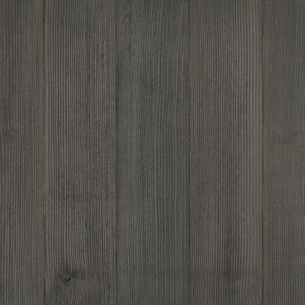 dougfir_snowfence_sq.jpg?itok=