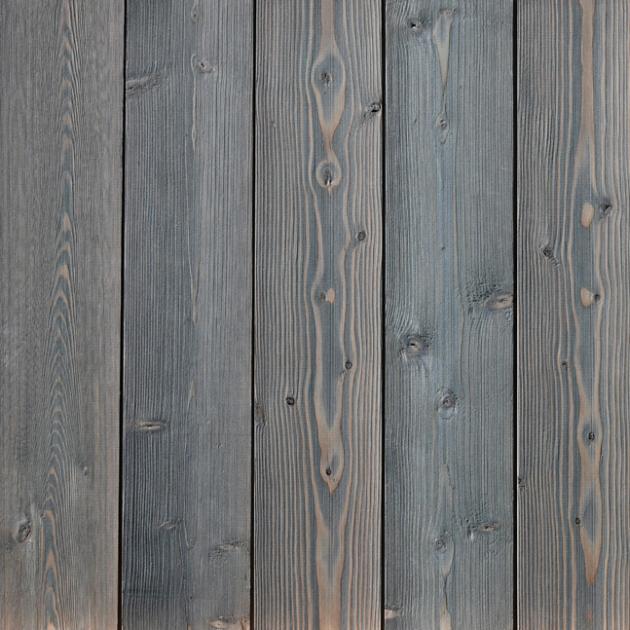 Pinecone_Larch_2_SQ.jpg?itok=