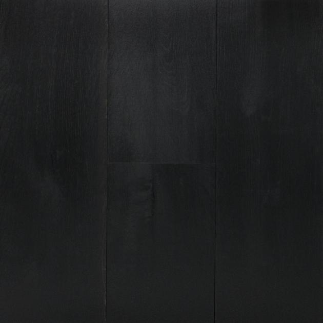 In the Woods...ブラックメタル　blackl 2025_04_16_PMW_NatEx_OsakaBlac