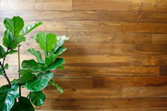 Reclaimed Teak wall paneling in Portland, OR