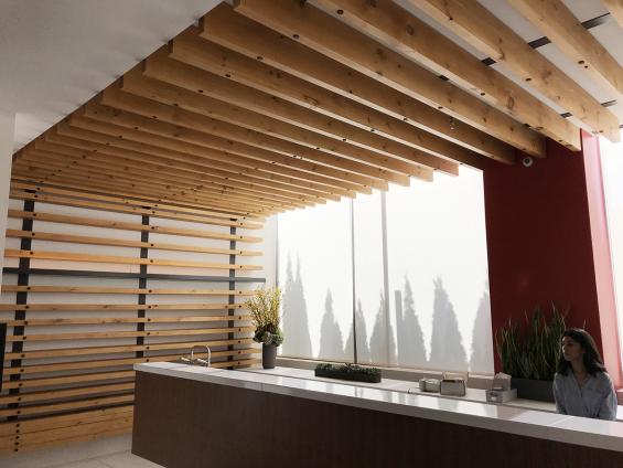 Sustainably Harvested Eastern White Pine joists with a custom finish and contrasting plugs.