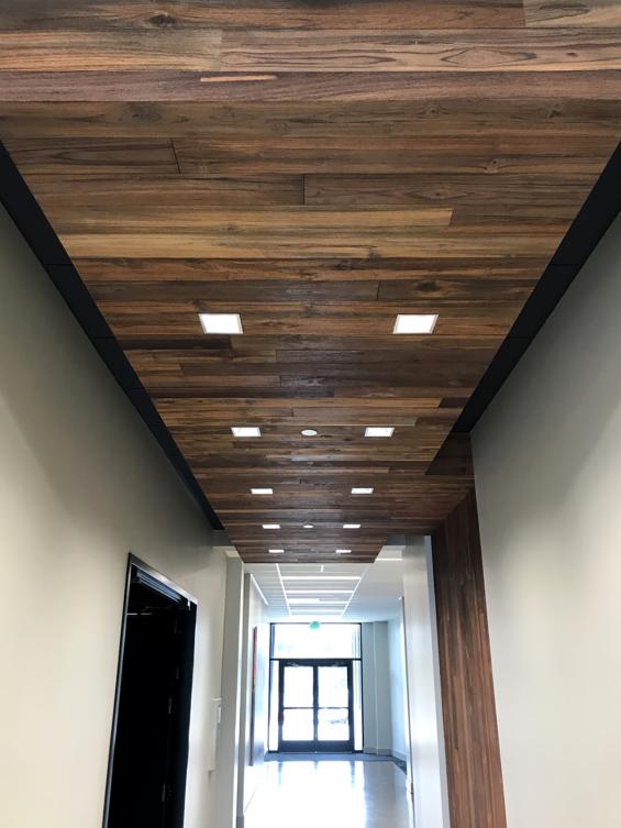 Reclaimed Indonesian Teak Bright ceiling paneling in an office in Federal Way, WA