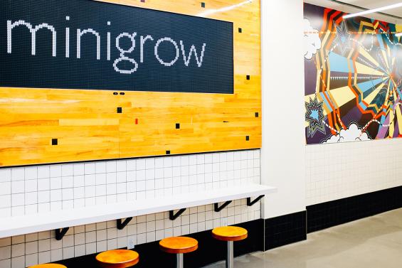 Original gym flooring arranged in a confetti pattern at the Madison Ave. location of Minigrown in New York City. Photo by Kyle Huff.