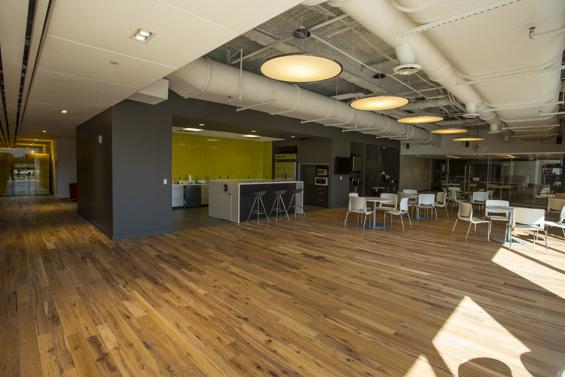 Pioneer Millworks American Gothic Hickory reclaimed wood flooring in an office space in Rochester, NY