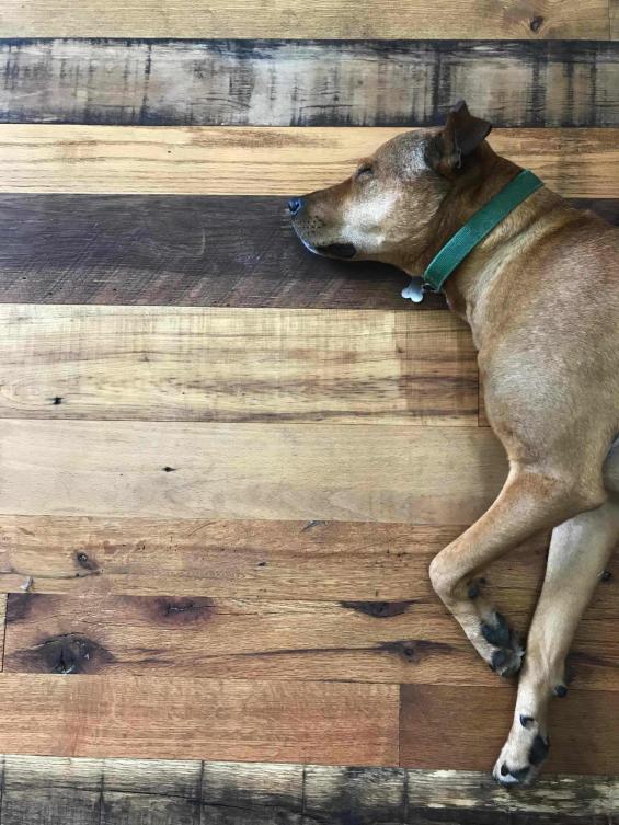 Pioneer Millworks Settler's Plank Mixed Hardwoods Reclaimed Flooring