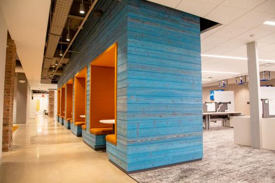 Pioneer Millworks Shou Sugi Ban Larch in Cobalt paneling in a private work place in NYC.