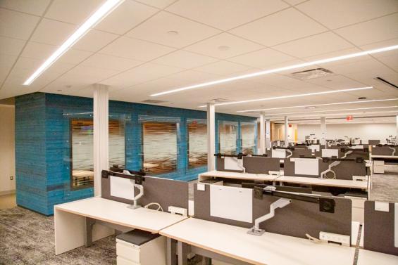 Pioneer Millworks Shou Sugi Ban Larch in Cobalt paneling in a private work place in NYC.