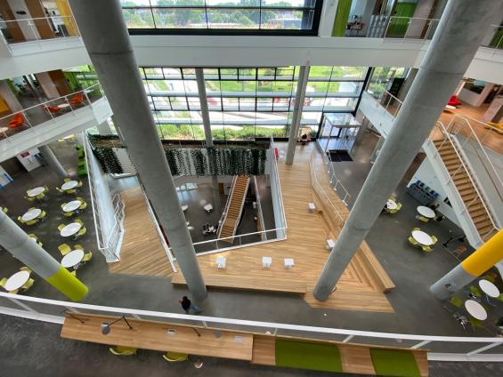 PIoneer Millworks Modern Farmhouse Clean White Oak Naked in Harvard University Science & Engineering Complex