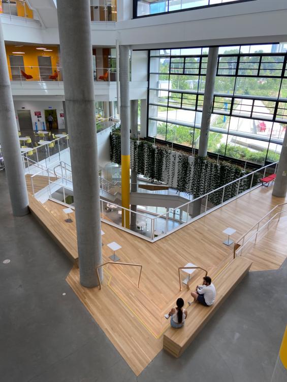 PIoneer Millworks Modern Farmhouse Clean White Oak Naked in Harvard University Science & Engineering Complex