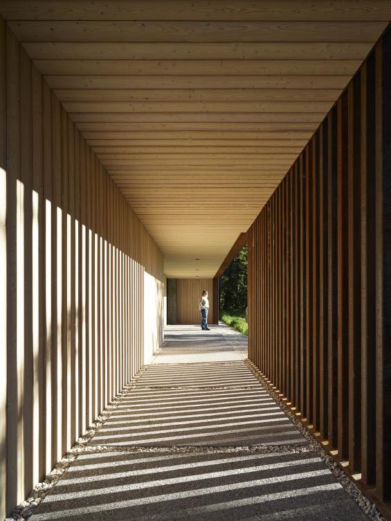 Pioneer Millworks Larch Scandi Paneling and Siding, and Accoya Scandi Paneling in bathroom. Photos ny Matt Millman.