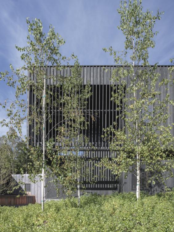 Pioneer Millworks Accoya Black Wood Siding. AW-ARCH Photo by: Florian Holzherr